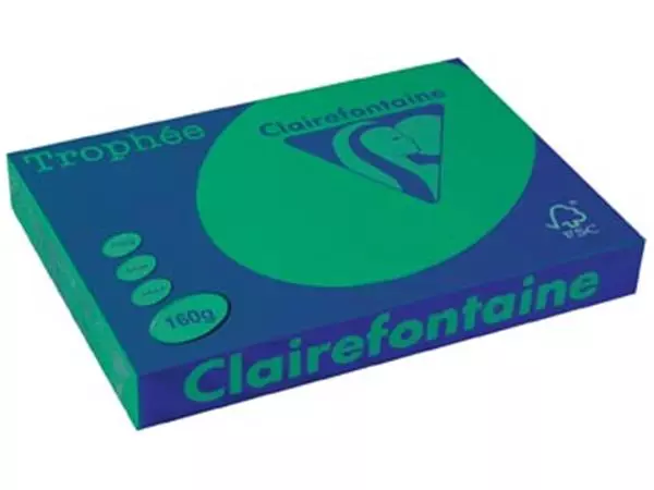 Een Clairefontaine Trophée Intens, gekleurd papier, A3, 160 g, 250 vel, dennengroen koop je bij ShopXPress