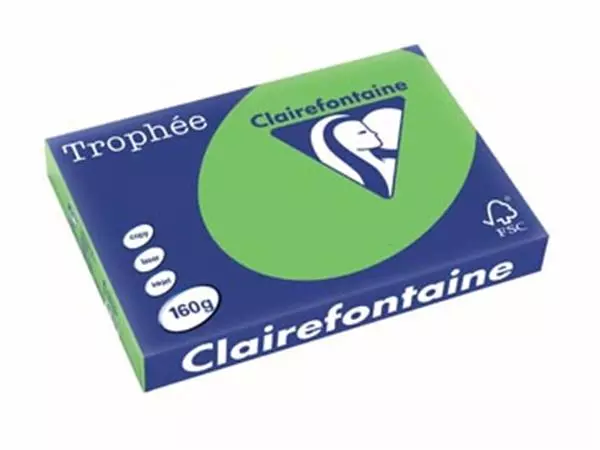 Een Clairefontaine Trophée Intens, gekleurd papier, A3, 160 g, 250 vel, grasgroen koop je bij ShopXPress