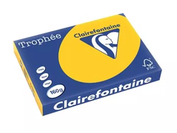 Een Clairefontaine Trophée Intens, gekleurd papier, A3, 160 g, 250 vel, zonnebloemgeel koop je bij ShopXPress