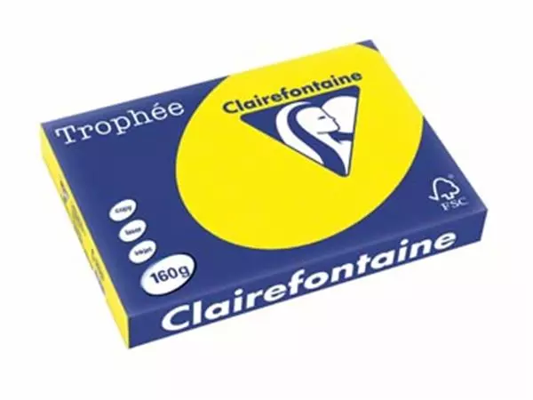 Een Clairefontaine Trophée Intens, gekleurd papier, A3, 160 g, 250 vel, zonnegeel koop je bij ShopXPress