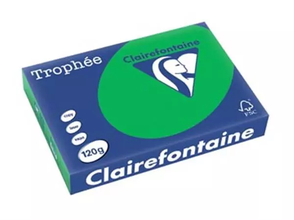 Een Clairefontaine Trophée Intens, gekleurd papier, A4, 120 g, 250 vel, bijartgroen koop je bij ShopXPress