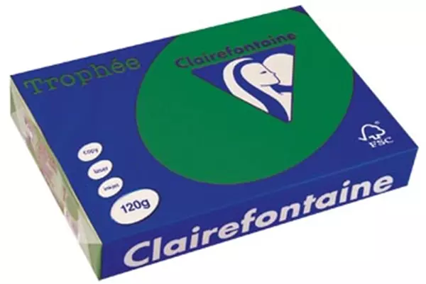 Een Clairefontaine Trophée Intens, gekleurd papier, A4, 120 g, 250 vel, dennengroen koop je bij ShopXPress