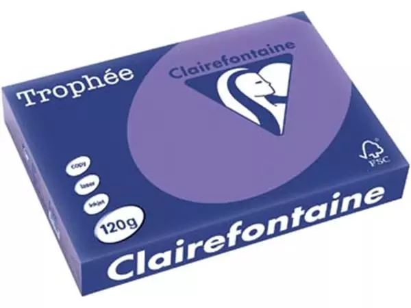 Een Clairefontaine Trophée Intens, gekleurd papier, A4, 120 g, 250 vel, violet koop je bij ShopXPress