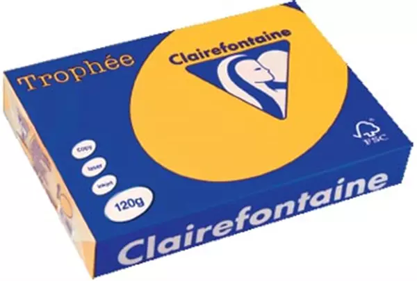 Een Clairefontaine Trophée Intens, gekleurd papier, A4, 120 g, 250 vel, zonnebloemgeel koop je bij ShopXPress