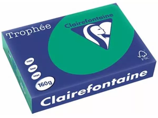 Een Clairefontaine Trophée Intens, gekleurd papier, A4, 160 g, 250 vel, dennengroen koop je bij ShopXPress