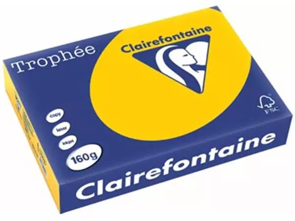Een Clairefontaine Trophée Intens, gekleurd papier, A4, 160 g, 250 vel, zonnebloemgeel koop je bij ShopXPress