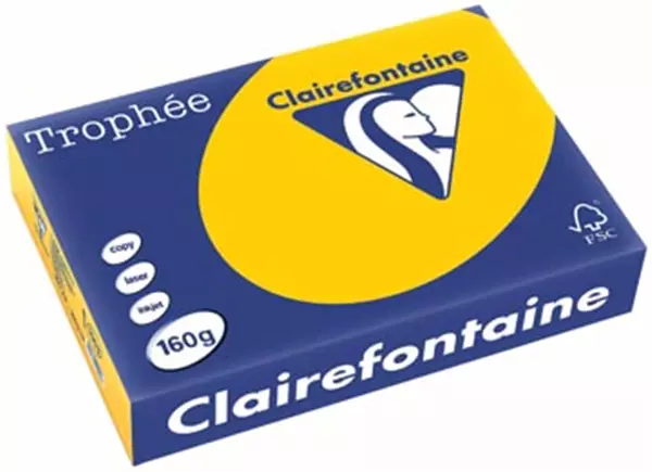 Een Clairefontaine Trophée Intens, gekleurd papier, A4, 160 g, 250 vel, zonnebloemgeel koop je bij ShopXPress