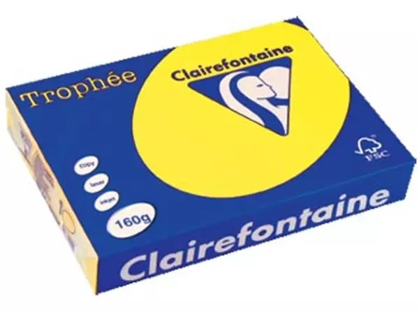 Een Clairefontaine Trophée Intens, gekleurd papier, A4, 160 g, 250 vel, zonnegeel koop je bij ShopXPress