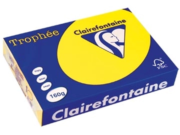 Een Clairefontaine Trophée Intens, gekleurd papier, A4, 160 g, 250 vel, zonnegeel koop je bij ShopXPress