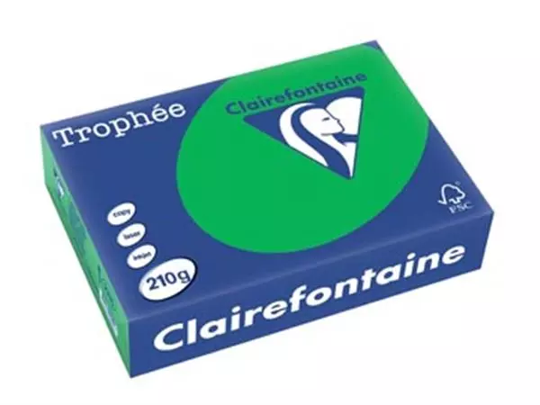 Een Clairefontaine Trophée Intens, gekleurd papier, A4, 210 g, 250 vel, bijartgroen koop je bij ShopXPress