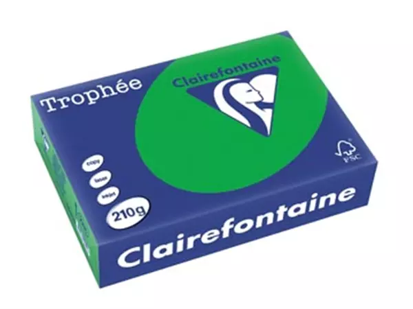 Een Clairefontaine Trophée Intens, gekleurd papier, A4, 210 g, 250 vel, bijartgroen koop je bij ShopXPress