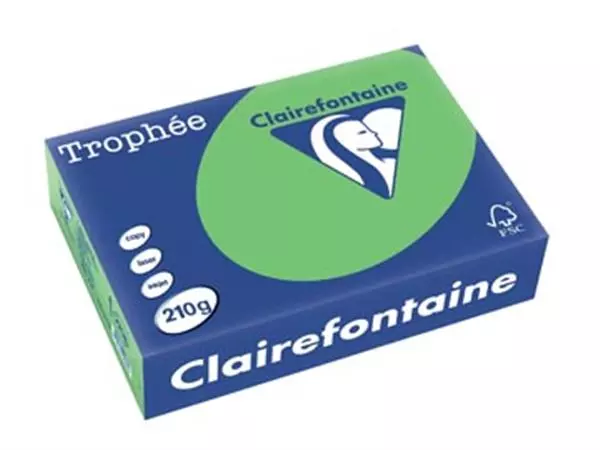 Een Clairefontaine Trophée Intens, gekleurd papier, A4, 210 g, 250 vel, grasgroen koop je bij ShopXPress