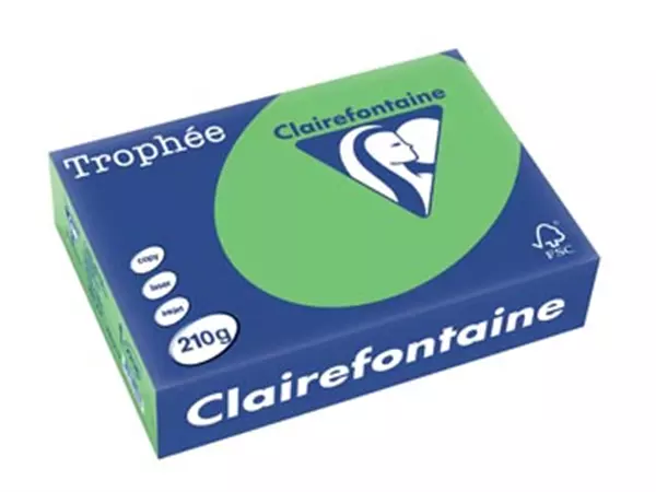 Buy your Clairefontaine Trophée Intens, gekleurd papier, A4, 210 g, 250 vel, grasgroen at Supplierz BV