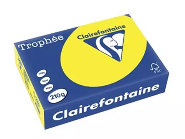 Een Clairefontaine Trophée Intens, gekleurd papier, A4, 210 g, 250 vel, zonnegeel koop je bij ShopXPress