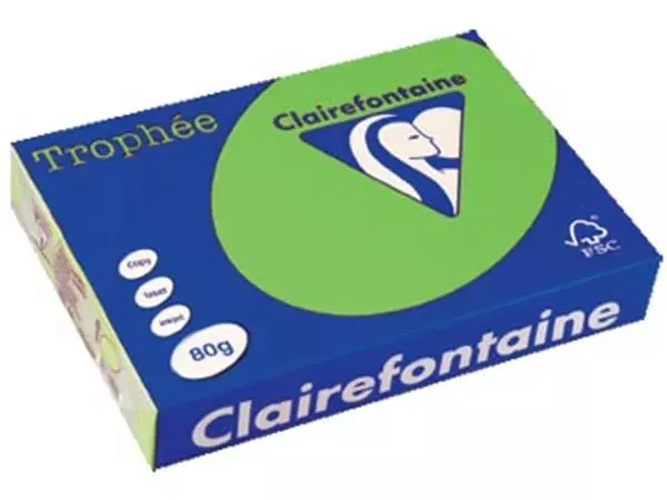 Een Clairefontaine Trophée Intens, gekleurd papier, A4, 80 g, 500 vel, muntgroen koop je bij ShopXPress