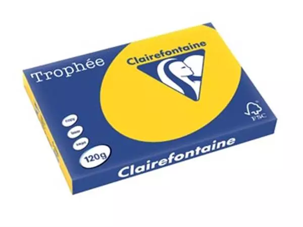 Een Clairefontaine Trophée Pastel, gekleurd papier, A3, 120 g, 250 vel, goudgeel koop je bij ShopXPress