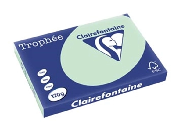 Vous pouvez acheter un Clairefontaine Trophée Pastel, papier couleur, A3, 120 g, 250 feuilles, vert chez Supplierz BV