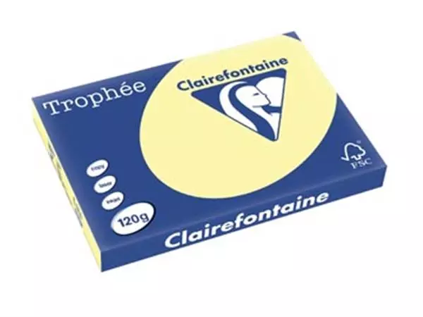 Een Clairefontaine Trophée Pastel, gekleurd papier, A3, 120 g, 250 vel, kanariegeel koop je bij ShopXPress