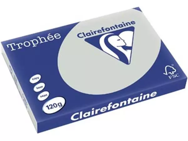 Een Clairefontaine Trophée Pastel, gekleurd papier, A3, 120 g, 250 vel, lichtgrijs koop je bij ShopXPress