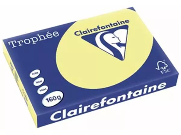 Een Clairefontaine Trophée Pastel, gekleurd papier, A3, 160 g, 250 vel, citroengeel koop je bij ShopXPress