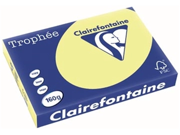 Vous pouvez acheter un Clairefontaine Trophée Pastel, papier couleur, A3, 160 g, 250 feuilles, jonquille chez Supplierz BV