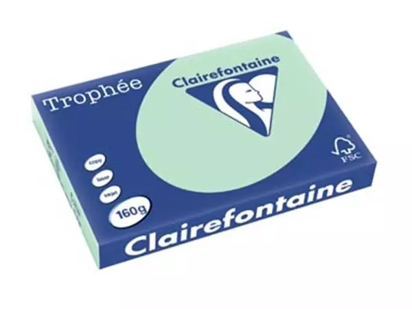 Een Clairefontaine Trophée Pastel, gekleurd papier, A3, 160 g, 250 vel, groen koop je bij ShopXPress