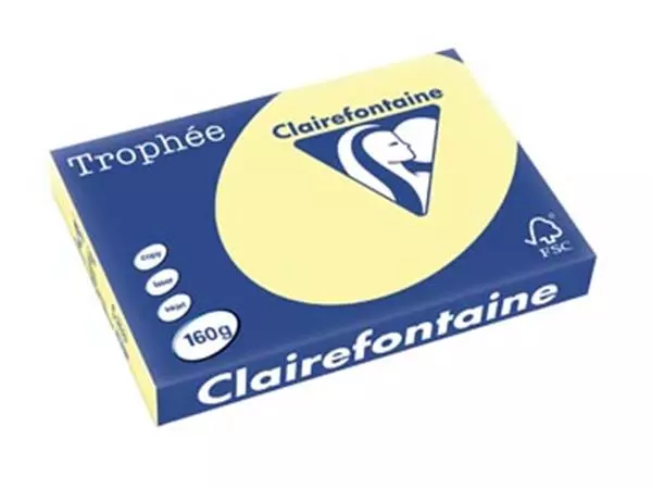 Een Clairefontaine Trophée Pastel, gekleurd papier, A3, 160 g, 250 vel, kanariegeel koop je bij ShopXPress