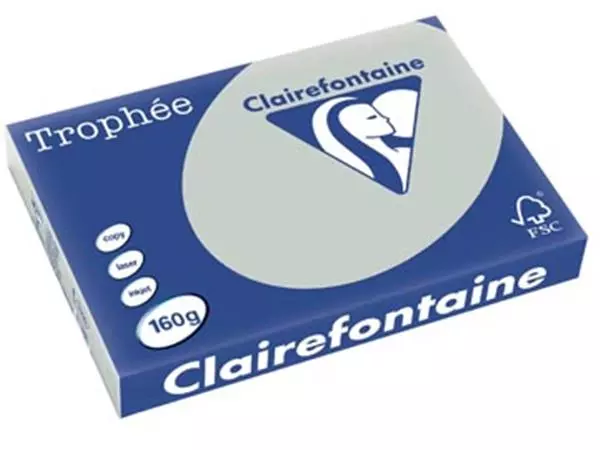 Een Clairefontaine Trophée Pastel, gekleurd papier, A3, 160 g, 250 vel, lichtgrijs koop je bij ShopXPress