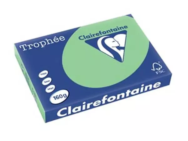 Een Clairefontaine Trophée Pastel, gekleurd papier, A3, 160 g, 250 vel, natuurgroen koop je bij ShopXPress