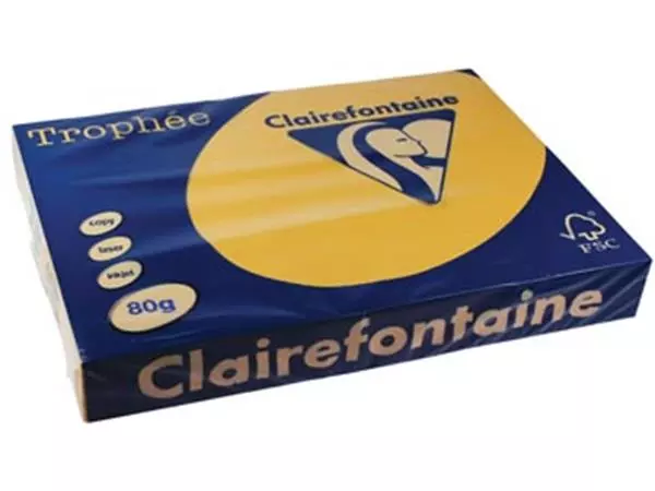 Een Clairefontaine Trophée Pastel, gekleurd papier, A3, 80 g, 500 vel, goudgeel koop je bij ShopXPress