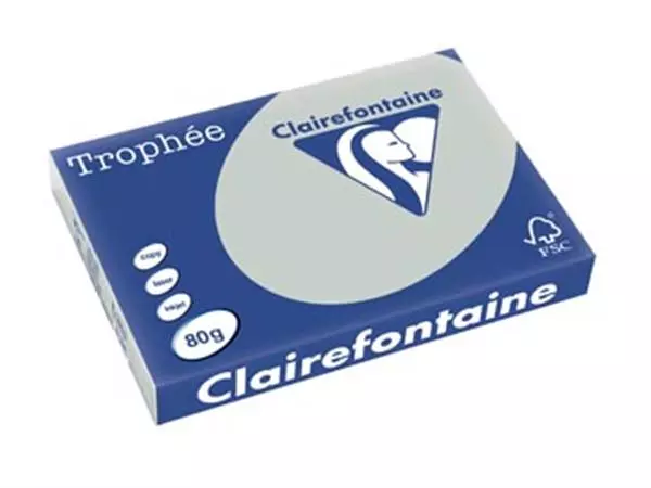 Een Clairefontaine Trophée Pastel, gekleurd papier, A3, 80 g, 500 vel, lichtgrijs koop je bij ShopXPress