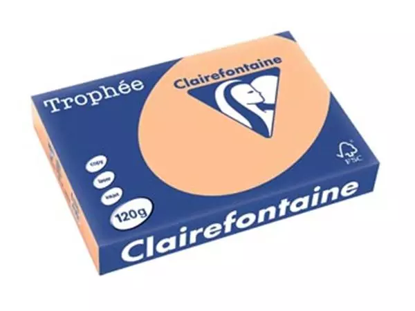 Een Clairefontaine Trophée Pastel, gekleurd papier, A4, 120 g, 250 vel, abrikoos koop je bij ShopXPress