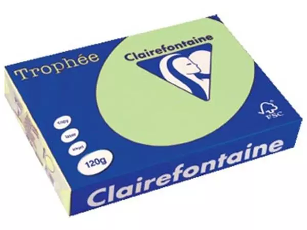 Een Clairefontaine Trophée Pastel, gekleurd papier, A4, 120 g, 250 vel, groen koop je bij ShopXPress