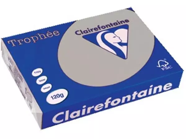 Een Clairefontaine Trophée Pastel, gekleurd papier, A4, 120 g, 250 vel, lichtgrijs koop je bij ShopXPress