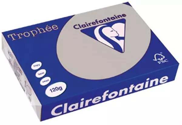 Een Clairefontaine Trophée Pastel, gekleurd papier, A4, 120 g, 250 vel, lichtgrijs koop je bij ShopXPress