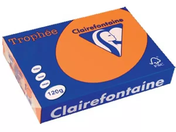 Een Clairefontaine Trophée Pastel, gekleurd papier, A4, 120 g, 250 vel, oranje koop je bij ShopXPress