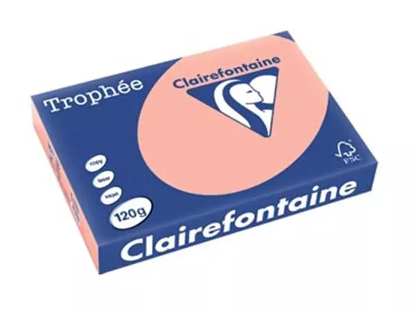 Een Clairefontaine Trophée Pastel, gekleurd papier, A4, 120 g, 250 vel, perzik koop je bij ShopXPress