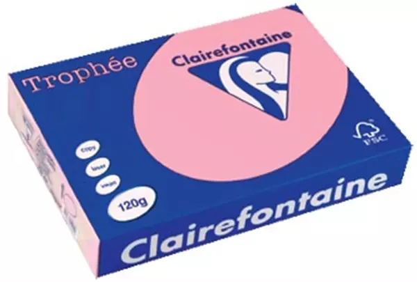 Een Clairefontaine Trophée Pastel, gekleurd papier, A4, 120 g, 250 vel, roze koop je bij ShopXPress