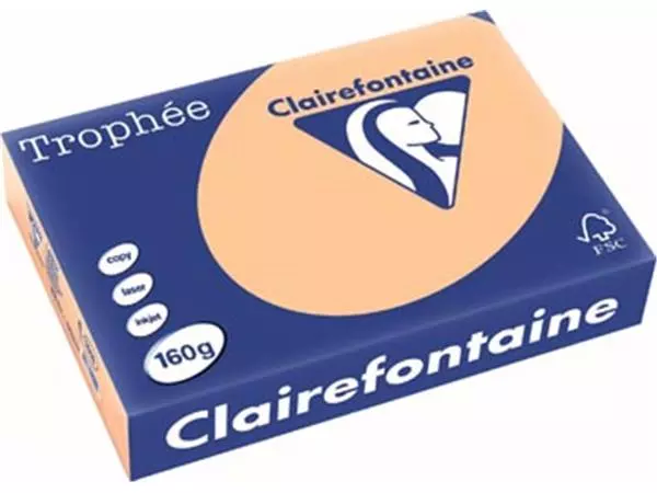Een Clairefontaine Trophée Pastel, gekleurd papier, A4, 160 g, 250 vel, abrikoos koop je bij ShopXPress