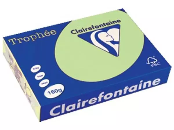 Een Clairefontaine Trophée Pastel, gekleurd papier, A4, 160 g, 250 vel, groen koop je bij ShopXPress