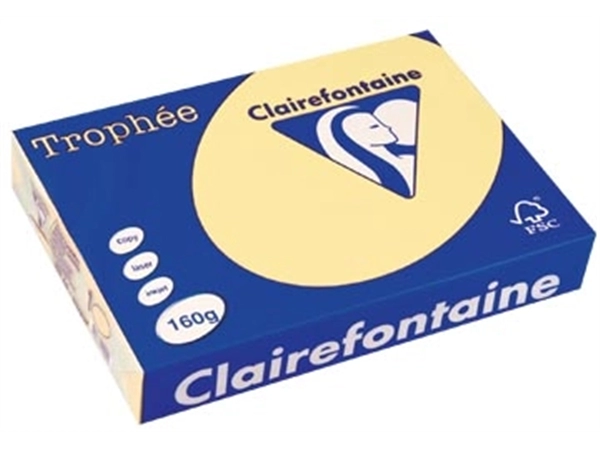 Buy your Clairefontaine Trophée Pastel, gekleurd papier, A4, 160 g, 250 vel, kanariegeel at Supplierz BV