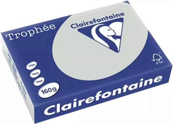 Een Clairefontaine Trophée Pastel, gekleurd papier, A4, 160 g, 250 vel, lichtgrijs koop je bij ShopXPress