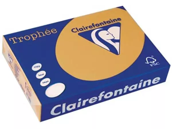 Een Clairefontaine Trophée Pastel, gekleurd papier, A4, 160 g, 250 vel, mokkabruin koop je bij ShopXPress