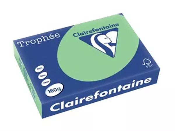 Een Clairefontaine Trophée Pastel, gekleurd papier, A4, 160 g, 250 vel, natuurgroen koop je bij ShopXPress