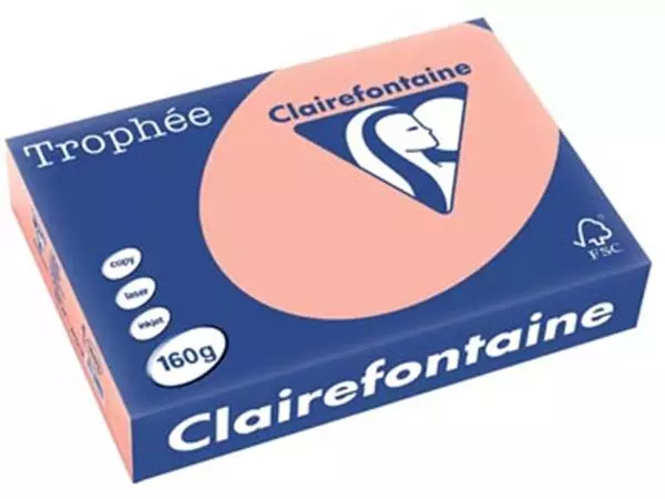 Een Clairefontaine Trophée Pastel, gekleurd papier, A4, 160 g, 250 vel, perzik koop je bij ShopXPress