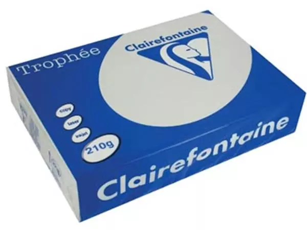 Een Clairefontaine Trophée Pastel, gekleurd papier, A4, 210 g, 250 vel, lichtgrijs koop je bij ShopXPress