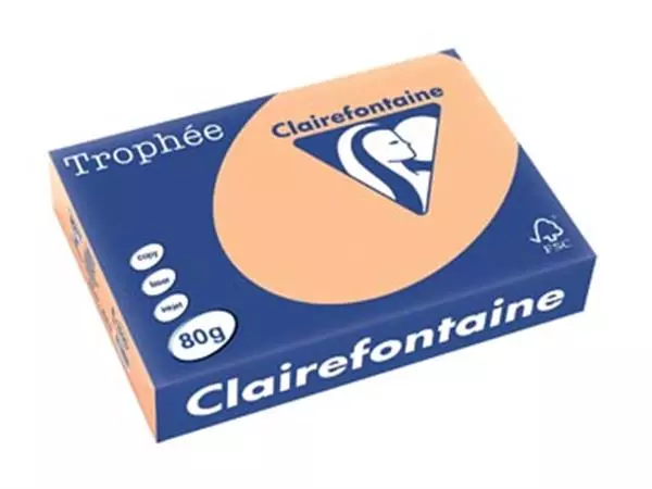 Een Clairefontaine Trophée gekleurd papier, A4, 80 g, 500 vel, abrikoos koop je bij ShopXPress