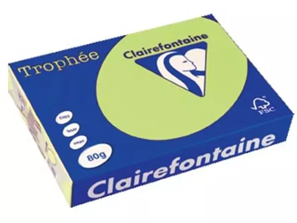 Een Clairefontaine Trophée gekleurd papier, A4, 80 g, 500 vel, golfgroen koop je bij ShopXPress