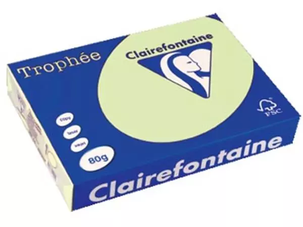 Een Clairefontaine Trophée gekleurd papier, A4, 80 g, 500 vel, lichtgroen koop je bij ShopXPress