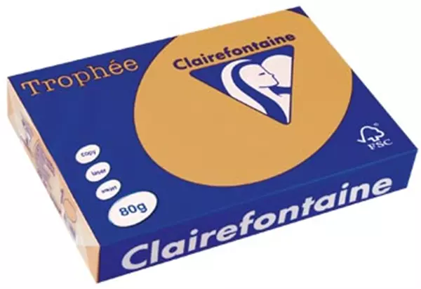 Een Clairefontaine Trophée gekleurd papier, A4, 80 g, 500 vel, mokkabruin koop je bij ShopXPress